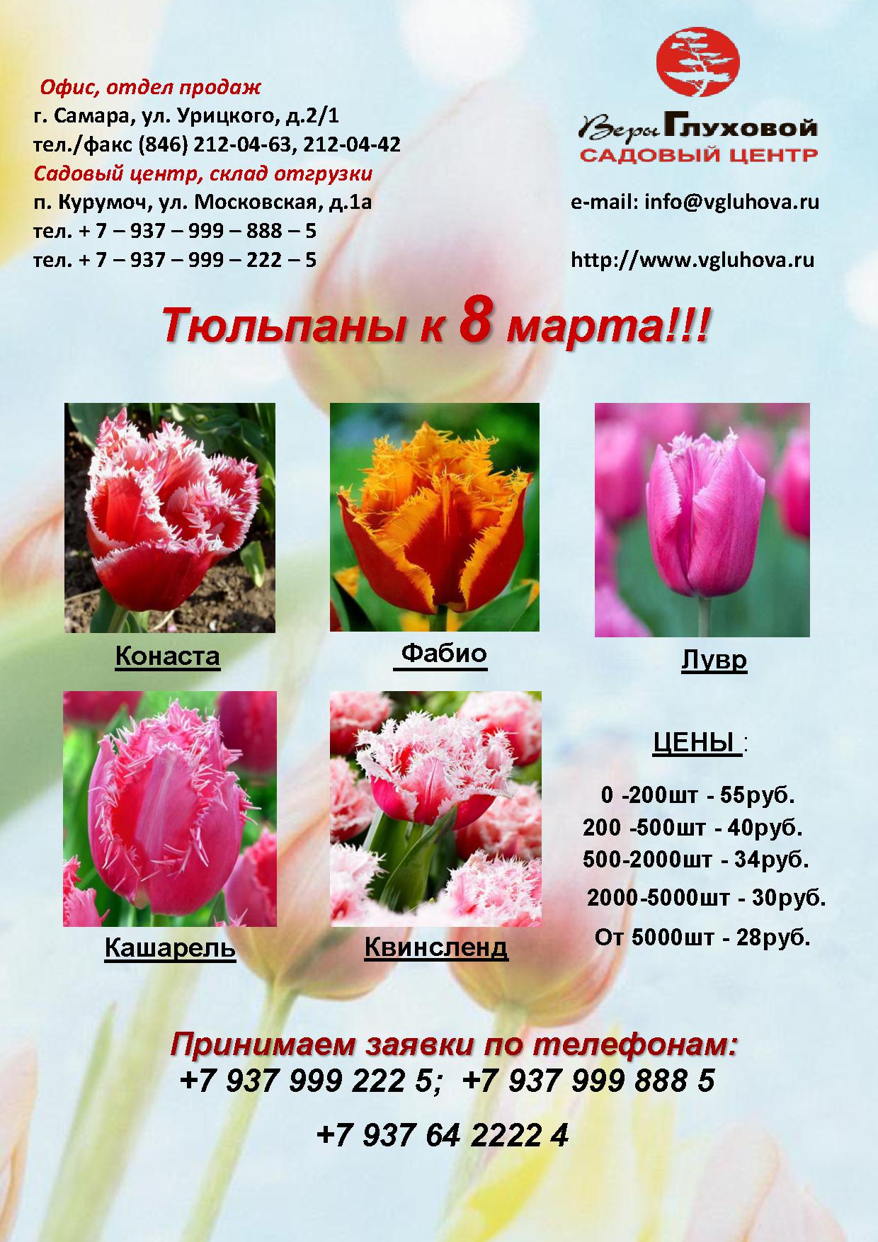 Тюльпаны к 8 марта Тюльпаны к 8 марта