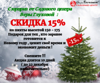 Скидки на Новый год 2020