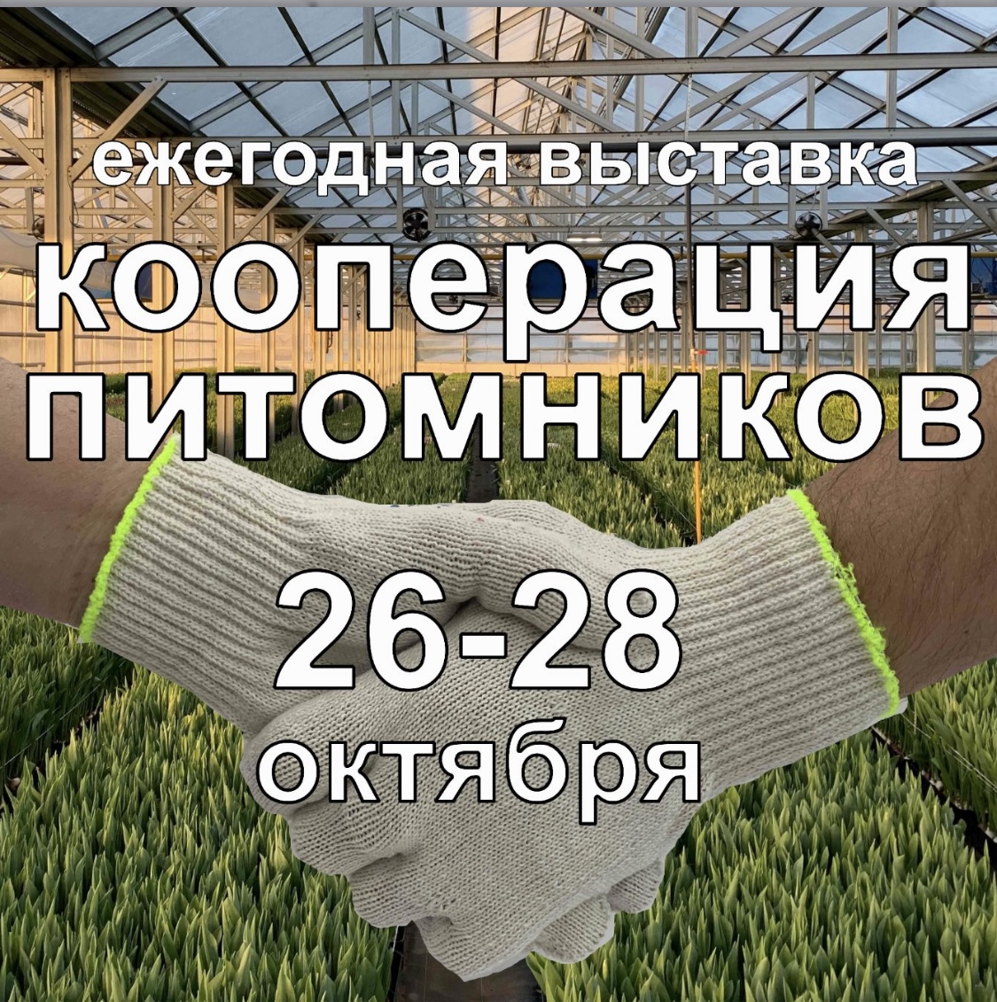 26-28 Ежегодная выставка Кооперация питомников 26-28 Ежегодная выставка Кооперация питомников