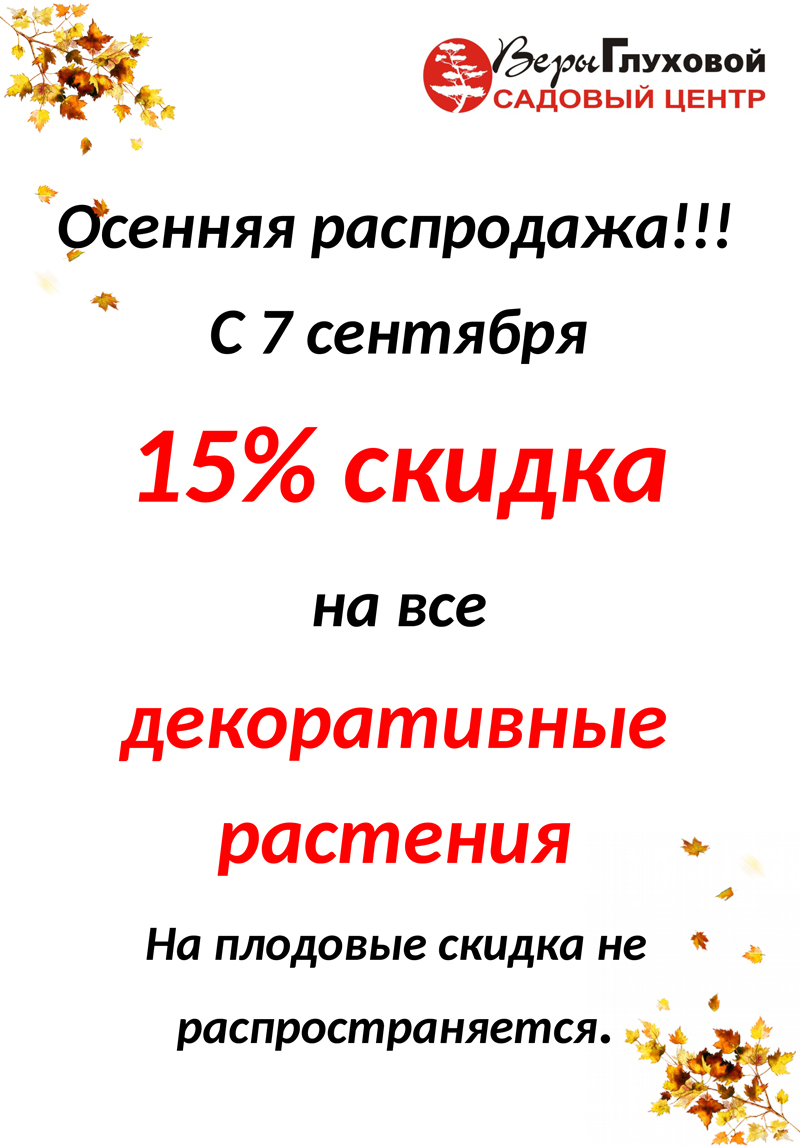 Cкидка 15 % на все декоративные растения Cкидка 15 % на все декоративные растения