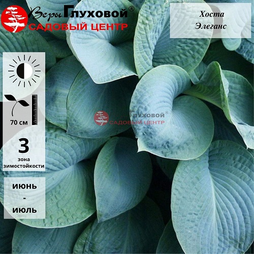 Основное изображение товара