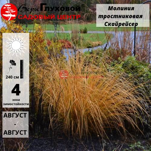 Основное изображение товара