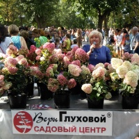 25 августа в Струковском парке состоялся Фестиваль цветов