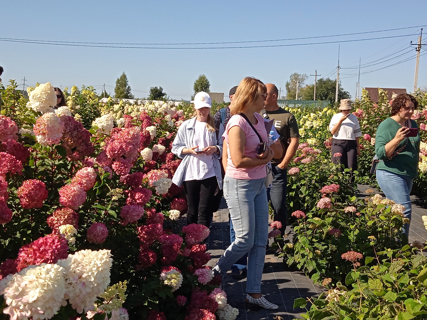 Зеленые путешествия в Садовом центре Веры Глуховой