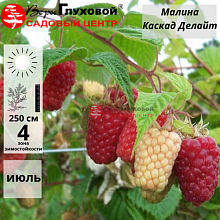 Основное изображение товара