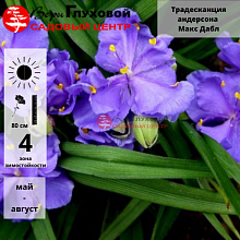 Основное изображение товара