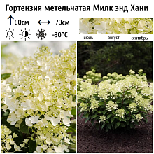 Основное изображение товара