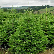 Основное изображение товара