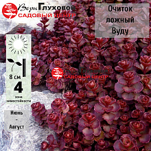 Основное изображение товара