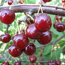 Рисунок 26.jpg