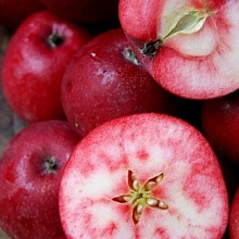 Основное изображение товара