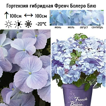 Основное изображение товара