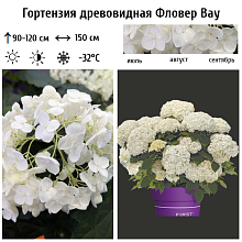 Основное изображение товара