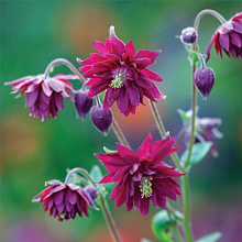 Основное изображение товара